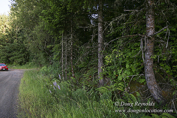 Oak Ridge Rd 2-7132