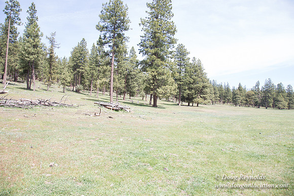 Ranch 18