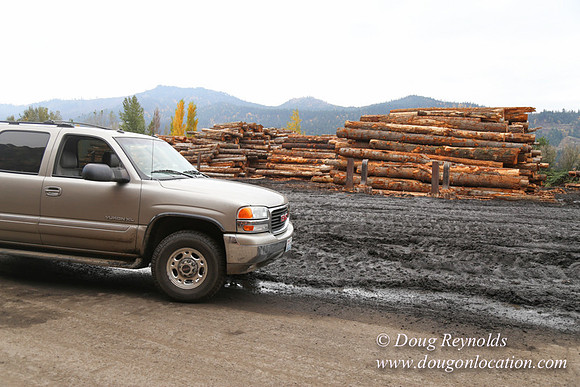 SDS Lumber-1345