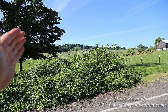 Helvetia rd Church-6057