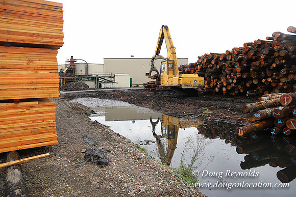 Saw Mill and Lumber Yard