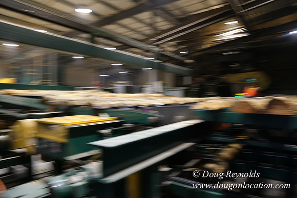 Saw Mill and Lumber Yard
