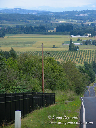 Laurel Hill Road 48511