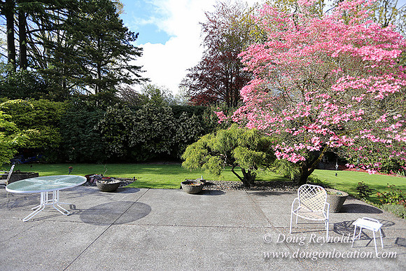Mid Century Traditional Style Home, With a Basement, 2 car garage average sized Back Yard with Patio