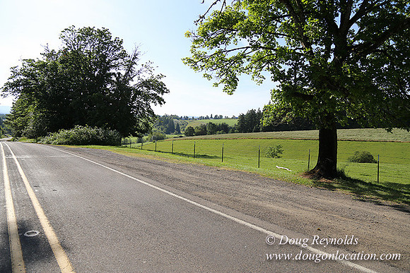 Helvetia rd Church-6034