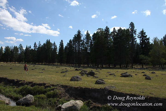 Ranch 18 South side of Hwy  has 2500 Acres of green fields Creeks water crossing Bridges on a Large Lake and miles of Dirt roads Oak trees  Forest land ATV Trails cows