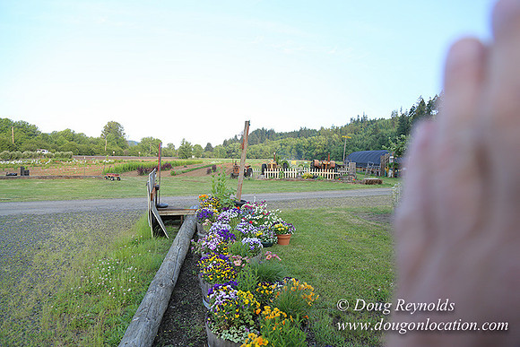 Jim Dandy Farm-5085