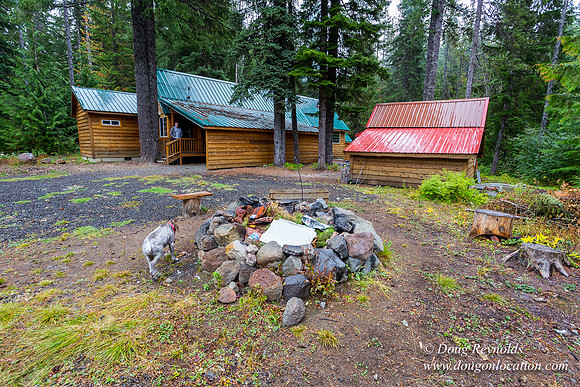 Waynes Cabin