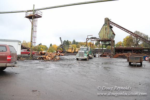 Saw Mill and Lumber Yard