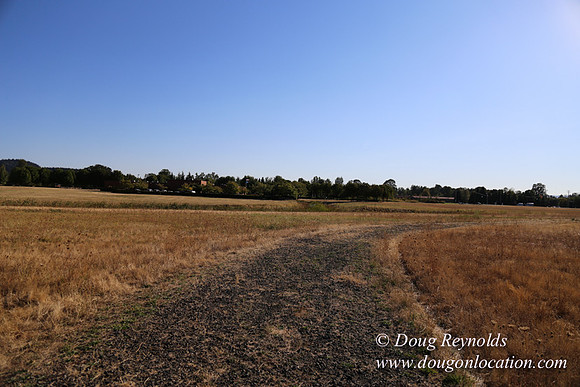 East End S Runway-5032