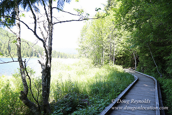 Trillium Lake-32003557
