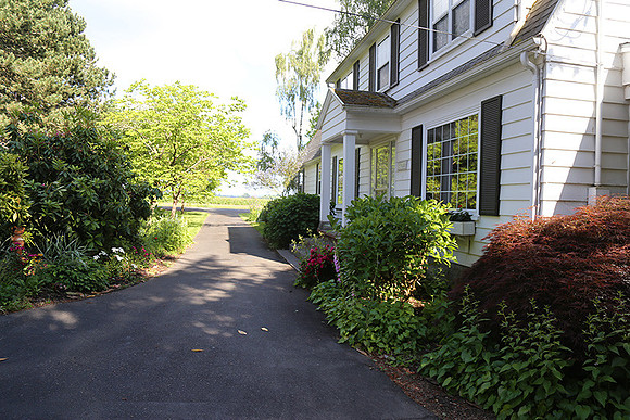 Dale's Penny Ln-4957