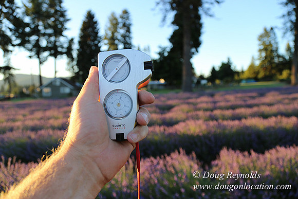 Bob's Lavender-8699