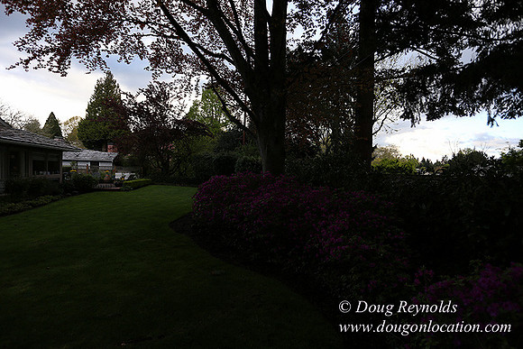Mid Century Traditional Style Home, With a Basement, 2 car garage average sized Back Yard with Patio.