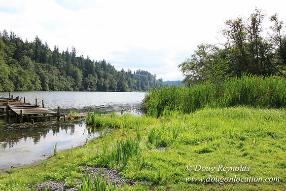Roberts Lake House-4837