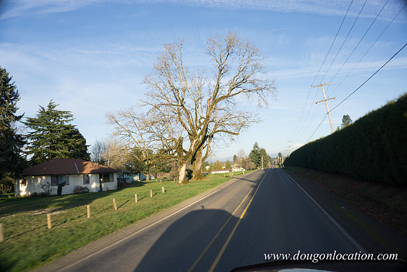 Kelso Rd W Driving E-4018