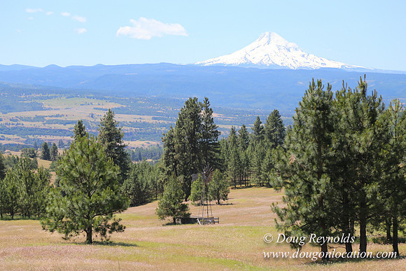 Brothers Ranch-8424