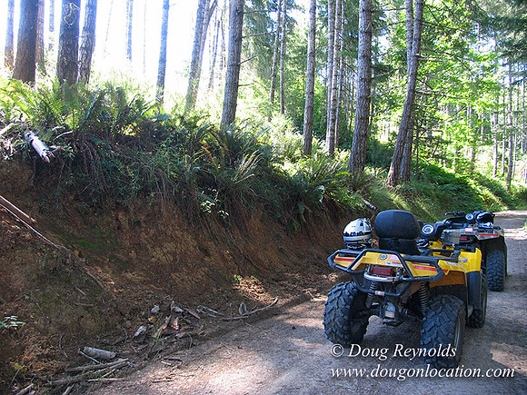 Ranch 6 has 2500 Acres of rolling green hills barns Creeks water crossing Bridges River and miles of Dirt roads Oak trees Cabins Forest land ATV Trails Camping