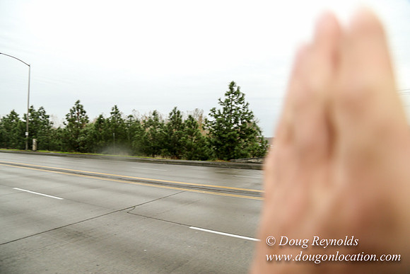 Marine Dr Overpass-5291