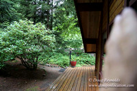 Gary's Cabin-7545