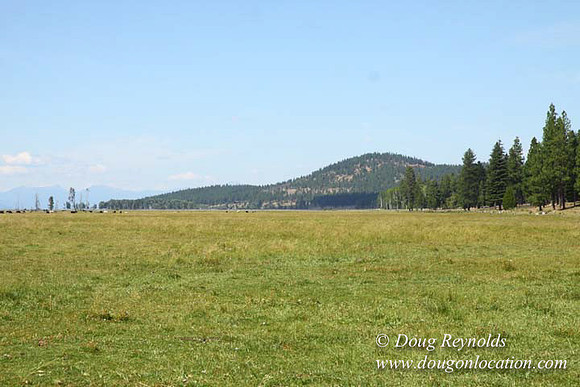 Ranch 18 South side of Hwy  has 2500 Acres of green fields Creeks water crossing Bridges on a Large Lake and miles of Dirt roads Oak trees  Forest land ATV Trails cows