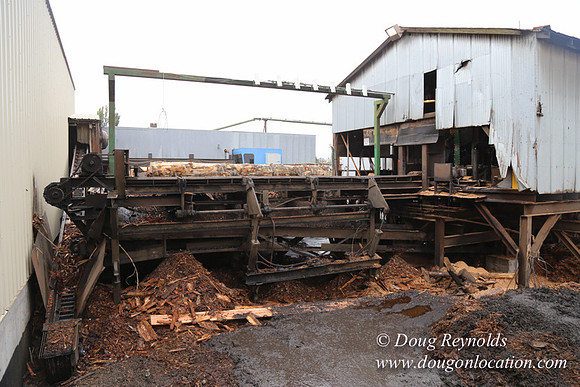 Saw Mill and Lumber Yard