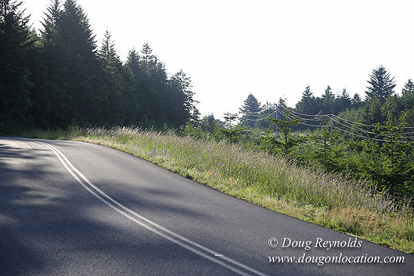 Oak Ridge Rd 2-7123