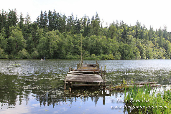 Roberts Lake House-4898