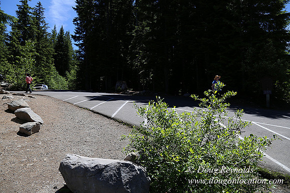 Trillium Lake-32003589
