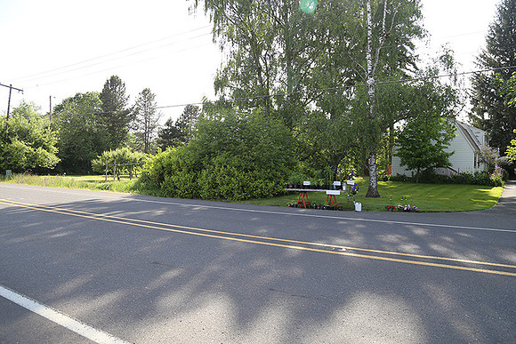 Dale's Penny Ln-5014