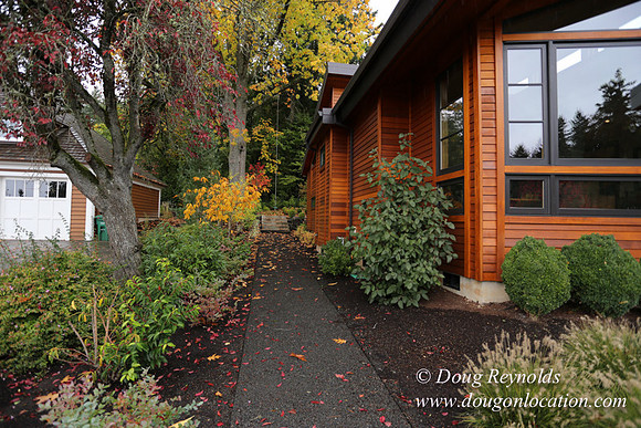 Kathy's House-0403