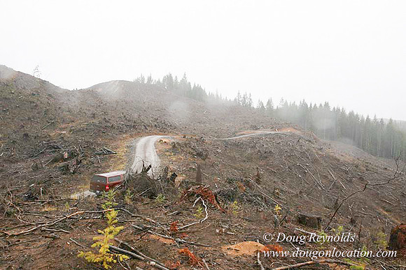 WC Clear Cut 2010-7817