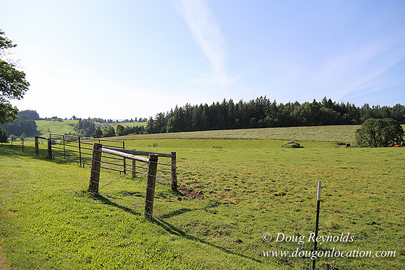Helvetia rd Church-6079