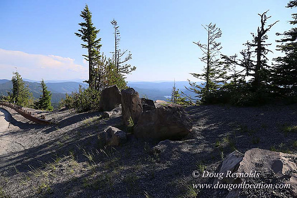 Timberline Rd View South-6986
