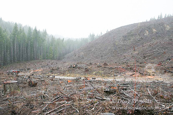 WC Clear Cut 2010-7829