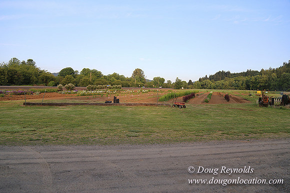 Jim Dandy Farm-5071
