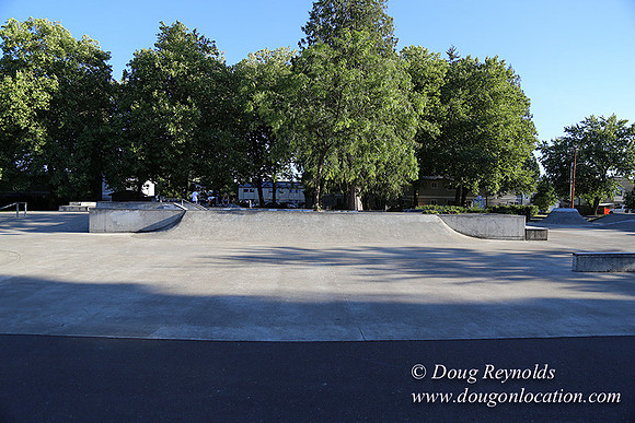 Lincoln Park-0608