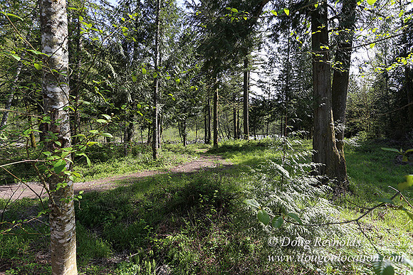 Brians River Side-9856