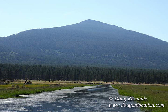 Ranch 18 South side of Hwy  has 2500 Acres of green fields Creeks water crossing Bridges on a Large Lake and miles of Dirt roads Oak trees  Forest land ATV Trails cows