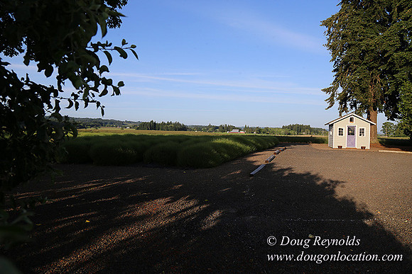 Toms Rd Side-6390