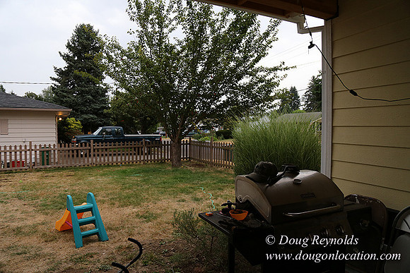 Nathan's Backyard-1717