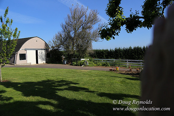 "2 Barns", "2 car garage", "40+ Acres", "PDX Zone", Pool, "White Fence", cows, "farm House", "rap around dive", "well maintained"