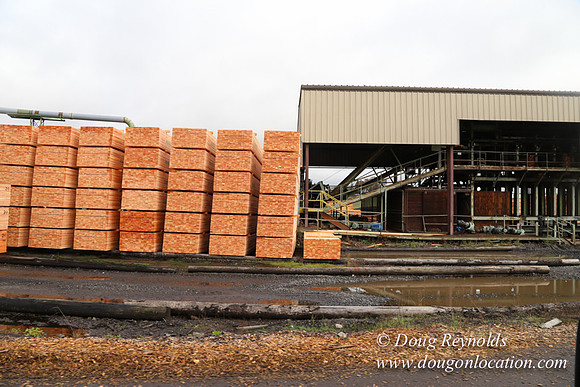 Saw Mill and Lumber Yard