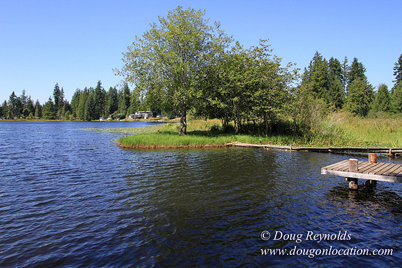 Richter Lake House-8385