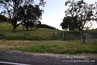 Spring Valley Rd