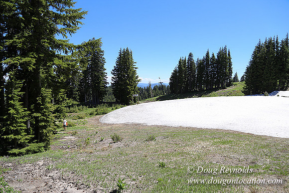 Medow's Snow-5795