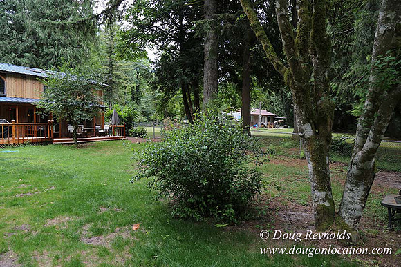 Cabin;  Home;  House; OR, Oregon Yard; deck; green. River,