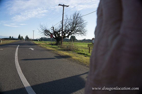 Kelso Rd W Driving E-3972