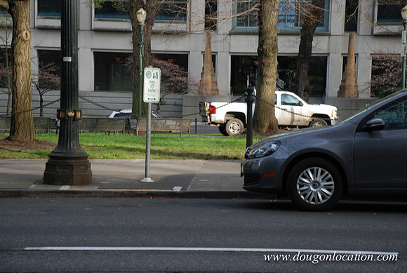 Chapman Square-0460