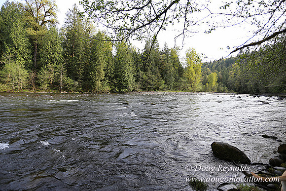 Brians River Side-0017